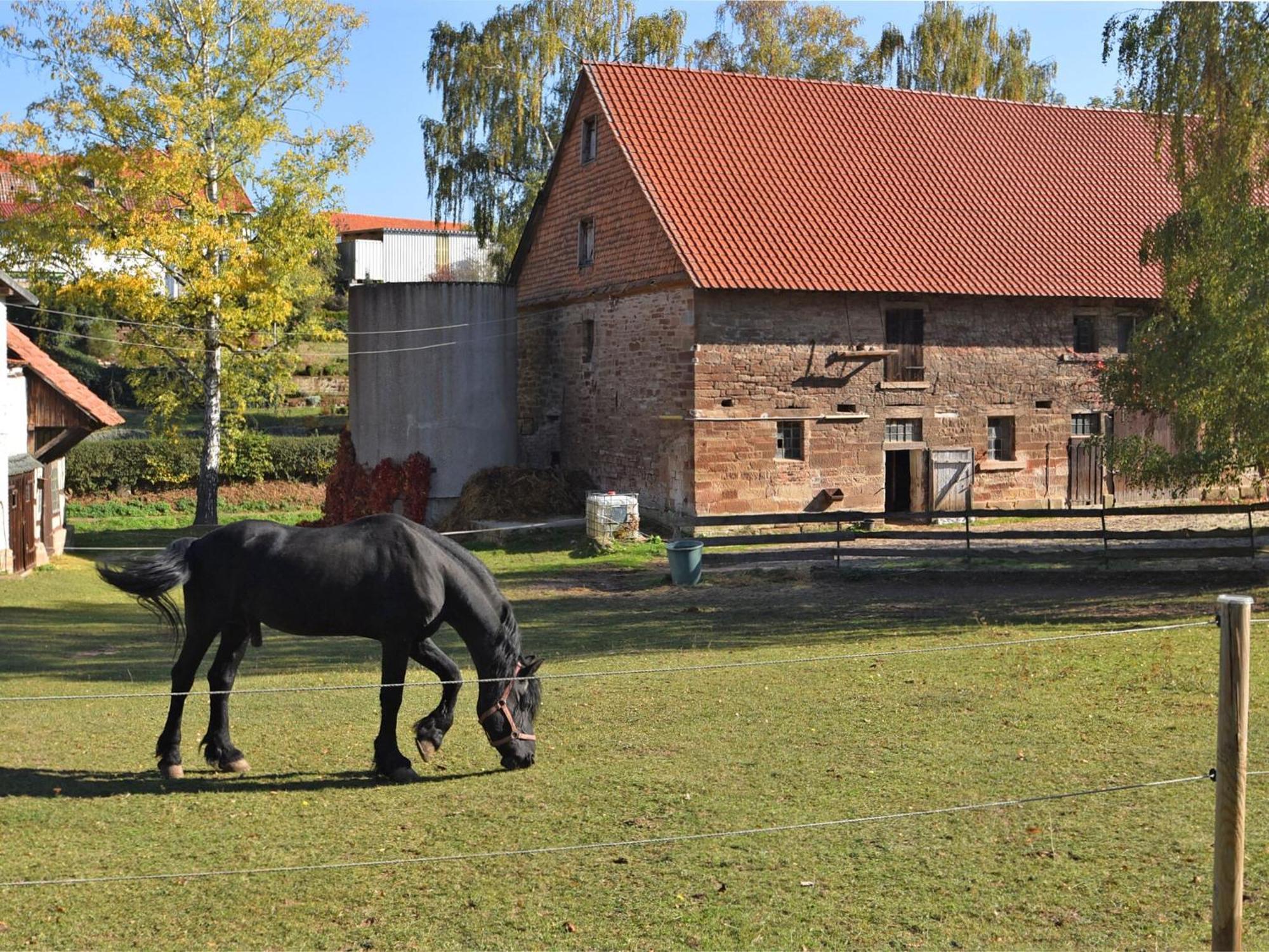 Spacious Holiday Home In Hesse With Garden Waldeck  Dış mekan fotoğraf
